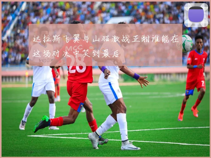 达拉斯飞翼与山猫激战正酣谁能在这场对决中笑到最后