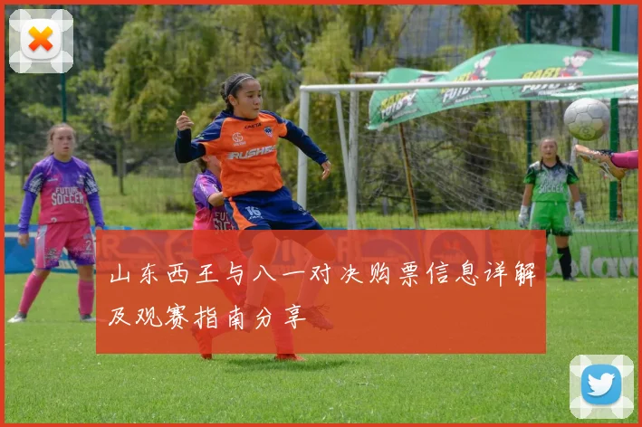山东西王与八一对决购票信息详解及观赛指南分享