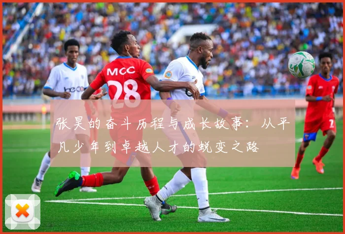 张昊的奋斗历程与成长故事：从平凡少年到卓越人才的蜕变之路