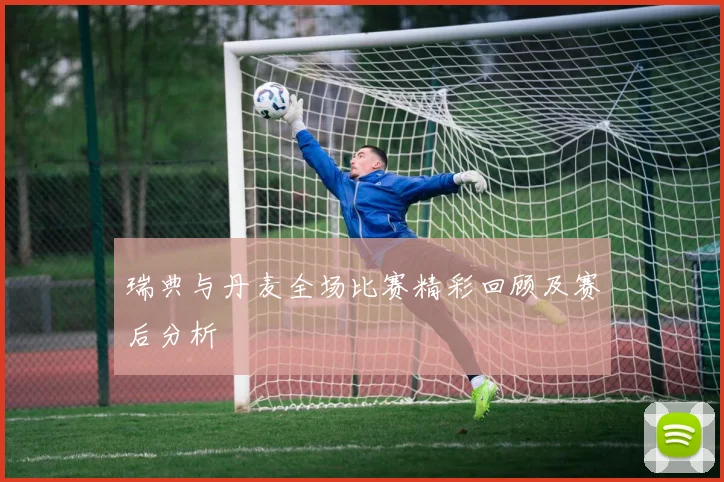 瑞典与丹麦全场比赛精彩回顾及赛后分析